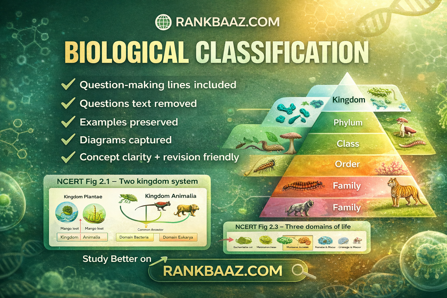Biological Classification NEET Notes