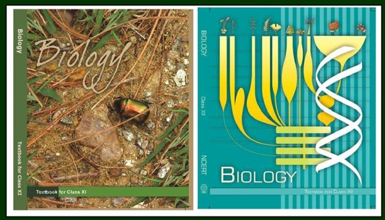 NEET Biology Exam Structure and Chapter Wise Syllabus Breakdown